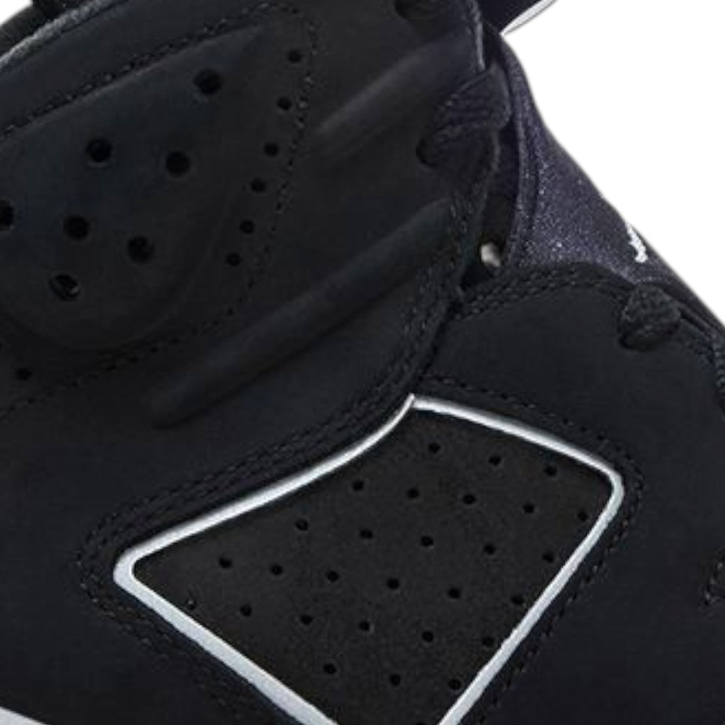 Air Jordan 6 Retro Cap and Gown